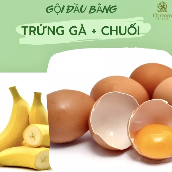 gội đầu với trứng gà