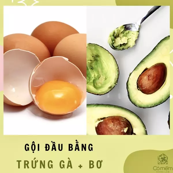 gội đầu bằng trứng gà có tốt không