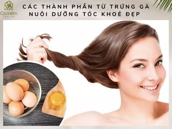 có nên gội đầu bằng trứng gà