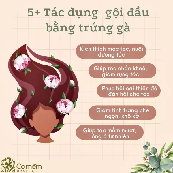 gội đầu bằng trứng gà