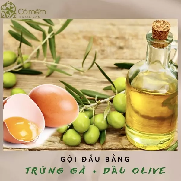 cách gội đầu bằng trứng gà