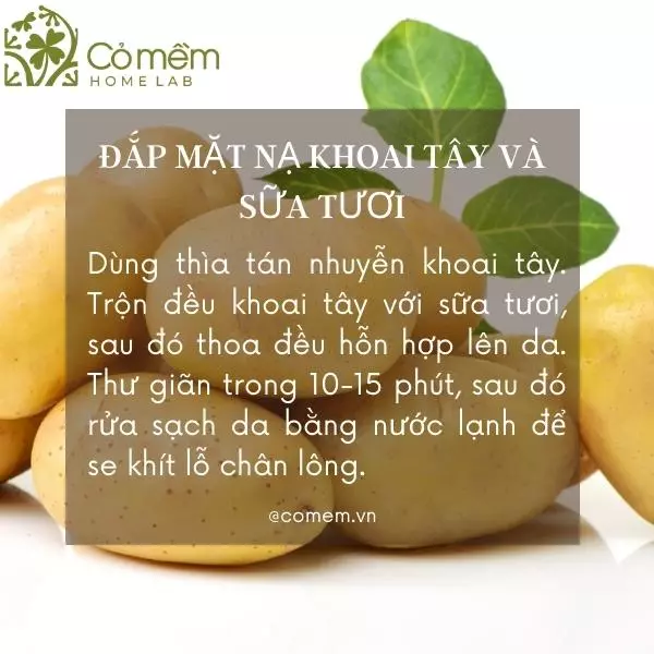 mặt nạ làm đẹp da từ thiên nhiên