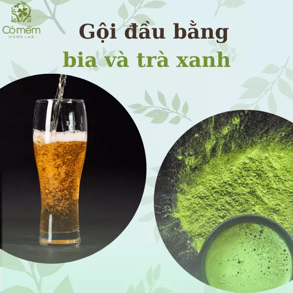 gội đầu bằng bia trị gàu