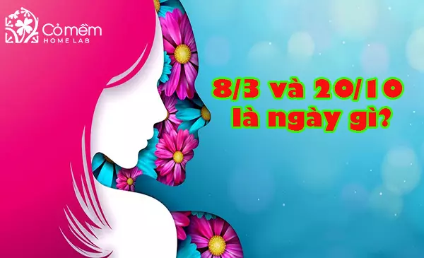 8/3 và 20/10 là ngày gì