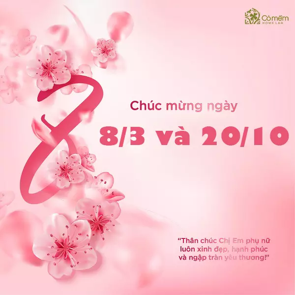 8/3 và 20/10 là ngày gì