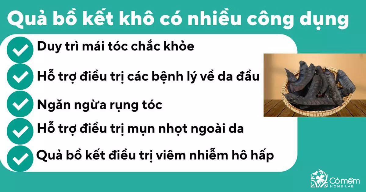 bồ kết