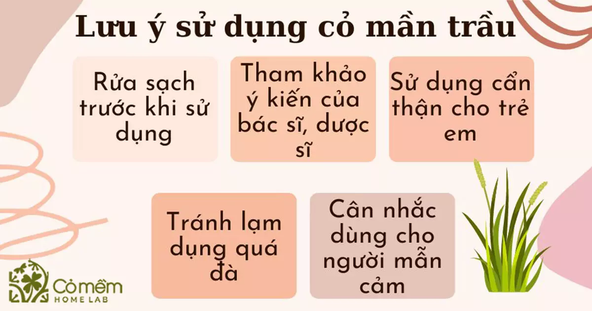 cỏ mần trầu