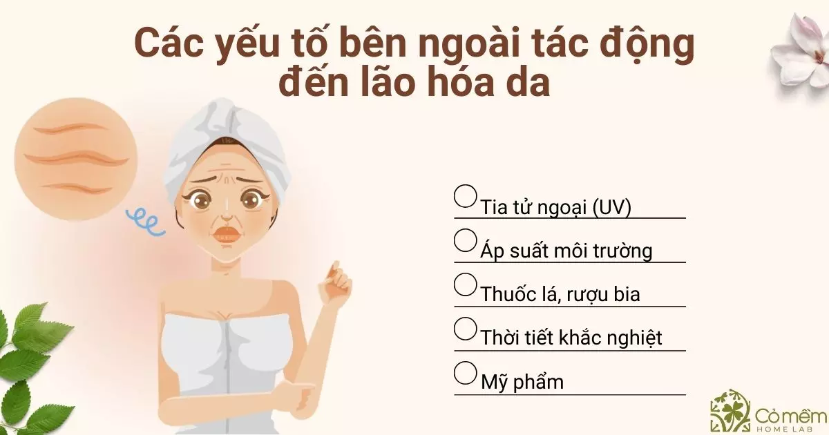 da mất độ đàn hồi