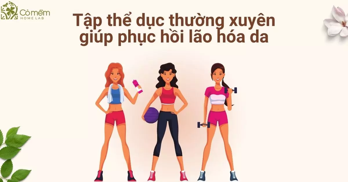 da mất độ đàn hồi