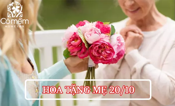 hoa tặng mẹ 20/10