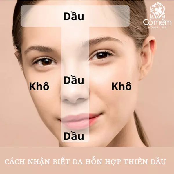 kem dưỡng ẩm cho da hỗn hợp thiên dầu