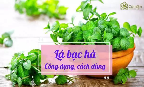 lá bạc hà