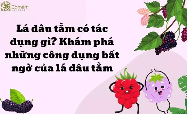 lá dâu tằm