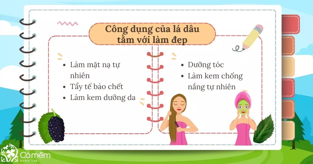 lá dâu tằm