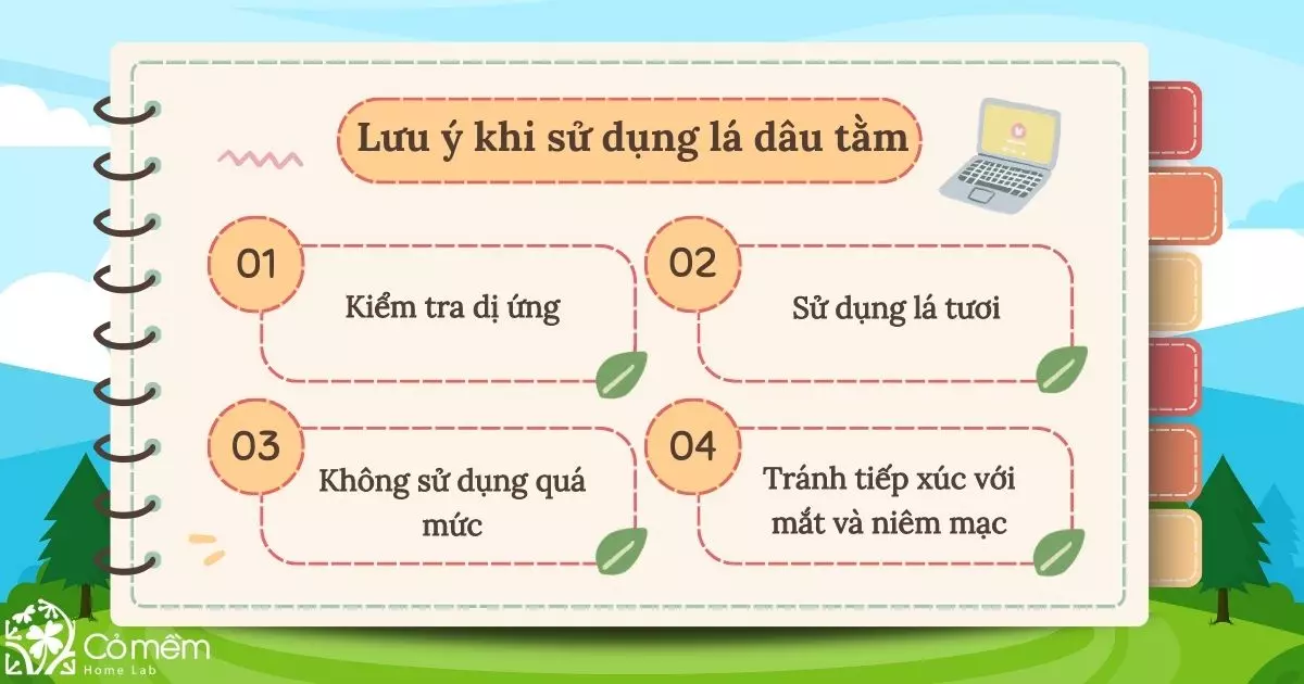 lá dâu tằm