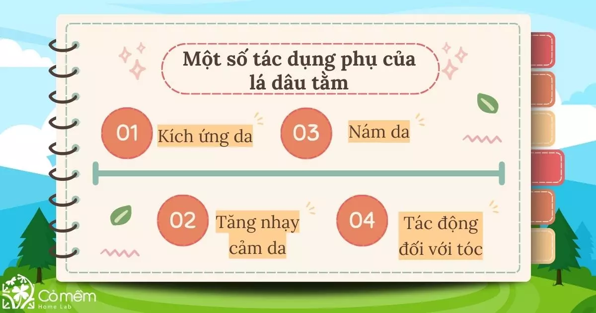 lá dâu tằm