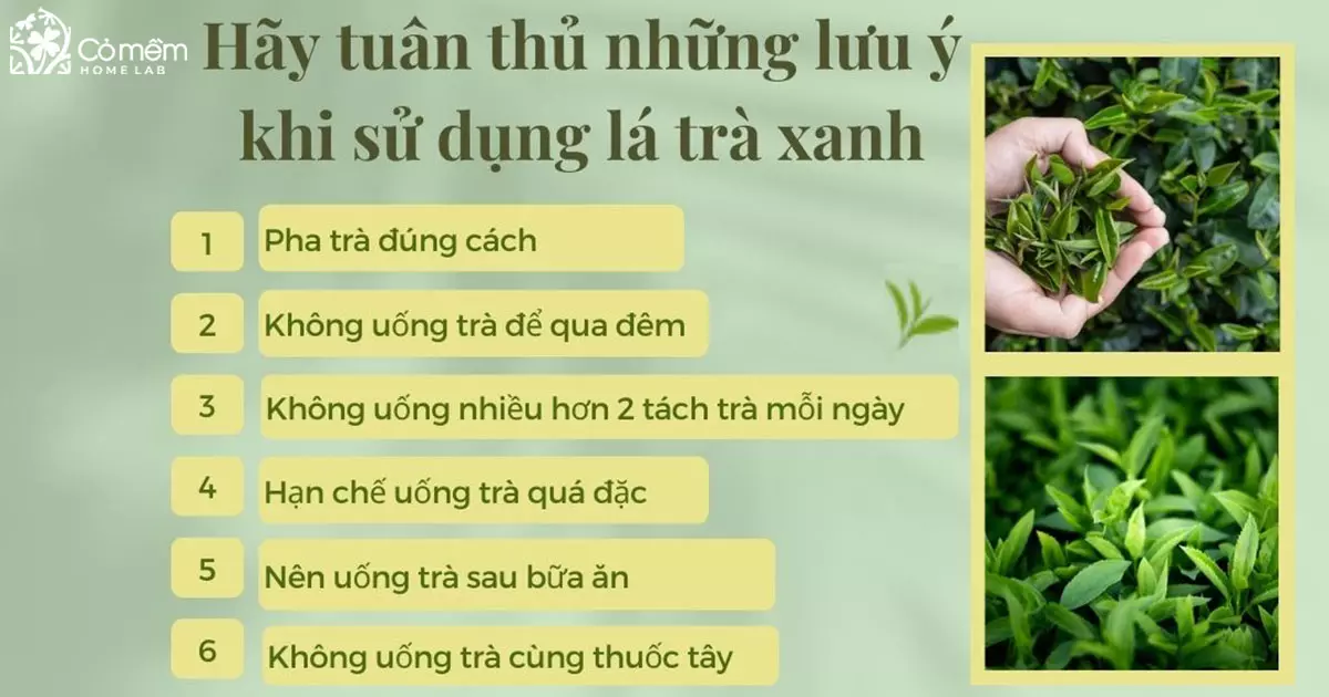 lá trà xanh