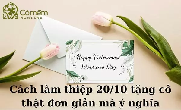 làm thiệp 20/10 tặng cô