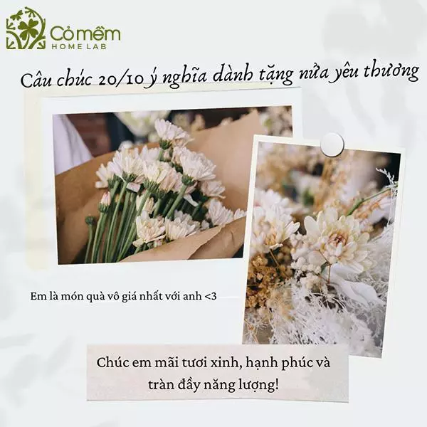 lời chúc 20/10