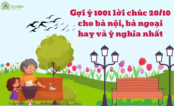 Gợi ý 1001 lời chúc 20/10 cho bà nội, bà ngoại hay và ý nghĩa nhất