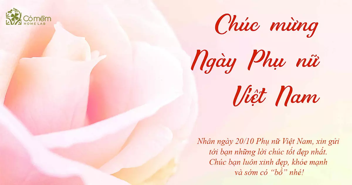 lời chúc 20/10 cho đồng nghiệp