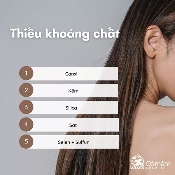 rụng tóc là thiếu chất gì