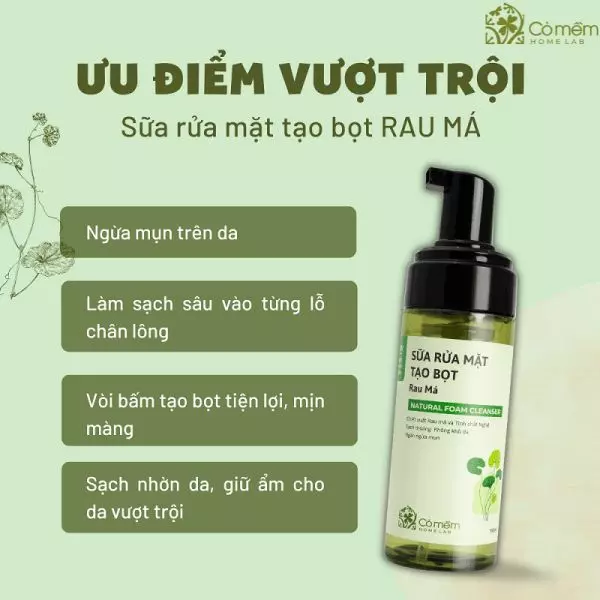 skincare cho da mụn