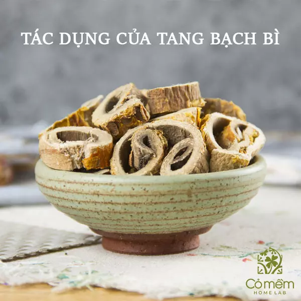 tang bạch bì