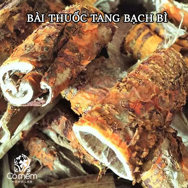 tang bạch bì