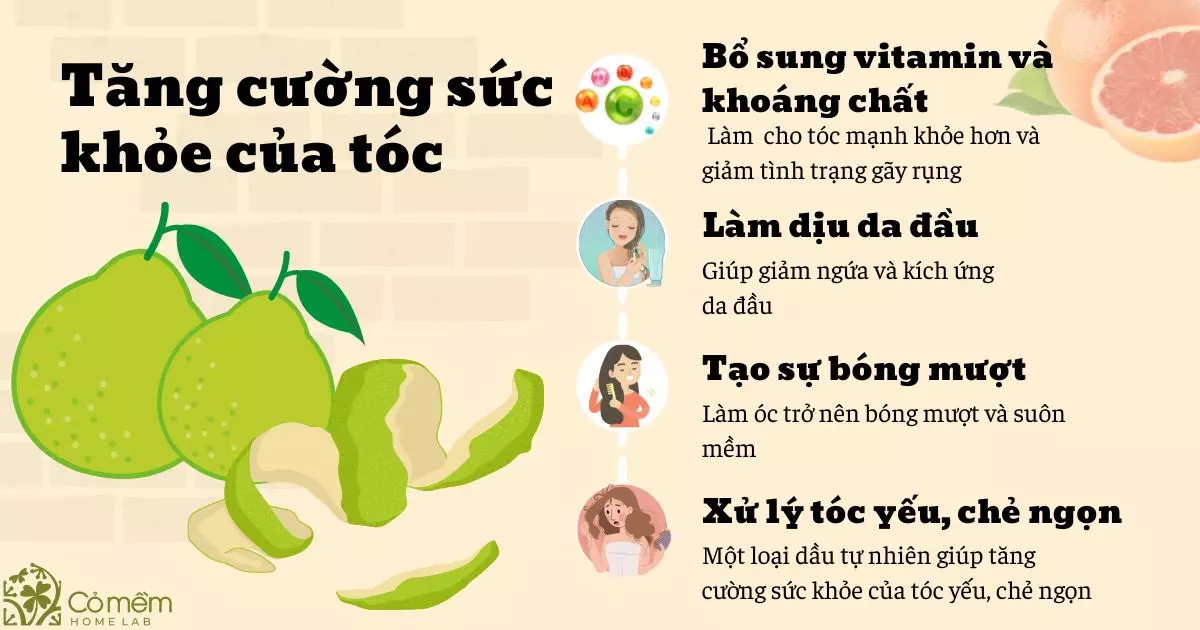 vỏ bưởi khô