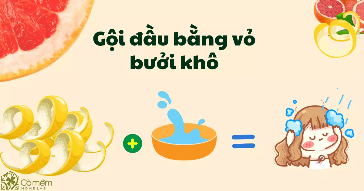 vỏ bưởi khô