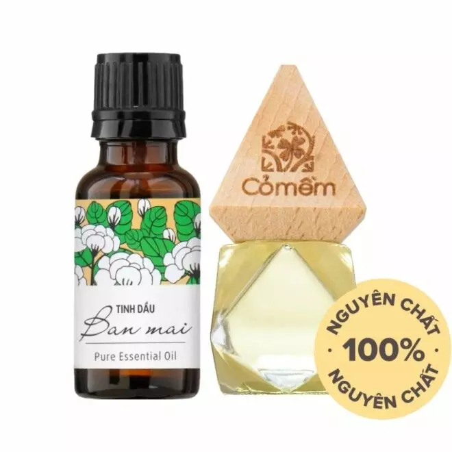 Combo Tinh dầu treo + Tinh dầu refill nguyên chất