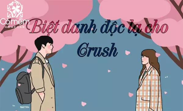 1001+ Biệt Danh Cho Crush Nam, Nữ "Tiếng Anh, Hàn, Trung"