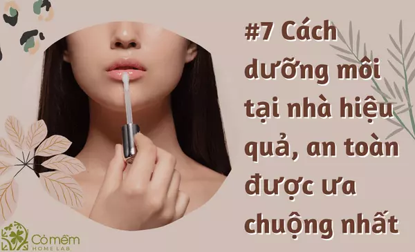 #7 Cách Dưỡng Môi Tại Nhà Hiệu Quả, An Toàn Được Ưa Chuộng Nhất