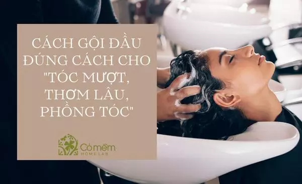 #6 Cách Gội Đầu Đúng Cách "Giúp Mọc Nhanh, Mượt Gấp 5 Lần"