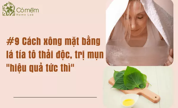 #9 Cách Xông Mặt Bằng Lá Tía Tô Thải Độc, Trị Mụn "99% Chị Em Chưa Biết"