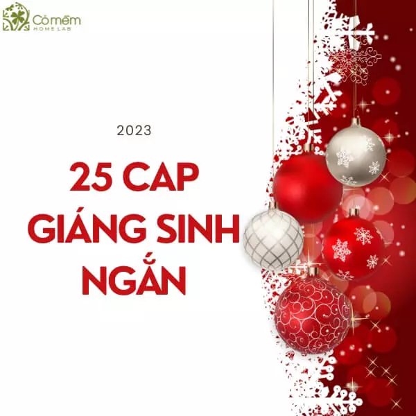 cap giáng sinh ngắn