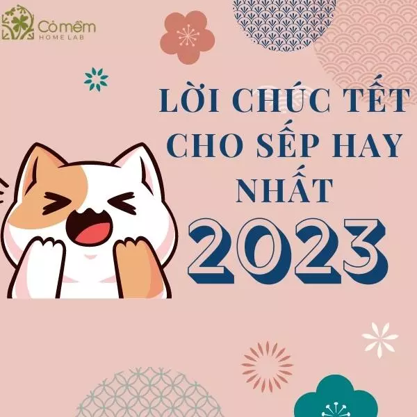 lời chúc tết cho sếp hay nhất