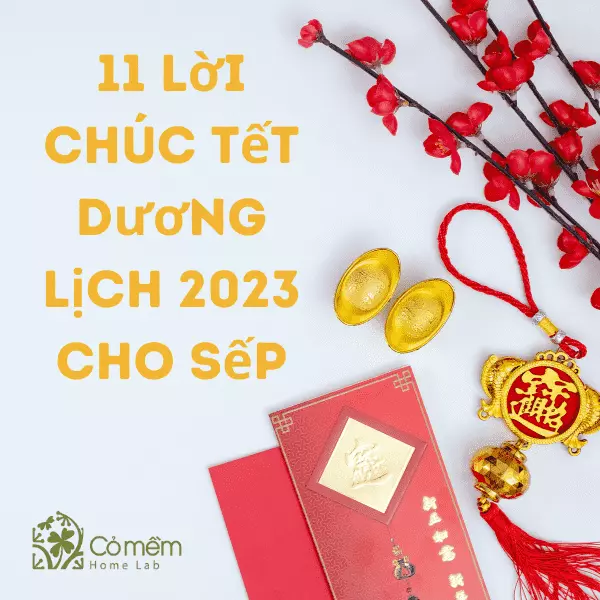 chúc mừng năm mới dương lịch