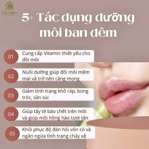 #7 Thỏi Son Dưỡng Môi Ban Đêm Hiệu Quả Được Yêu Thích Nhất