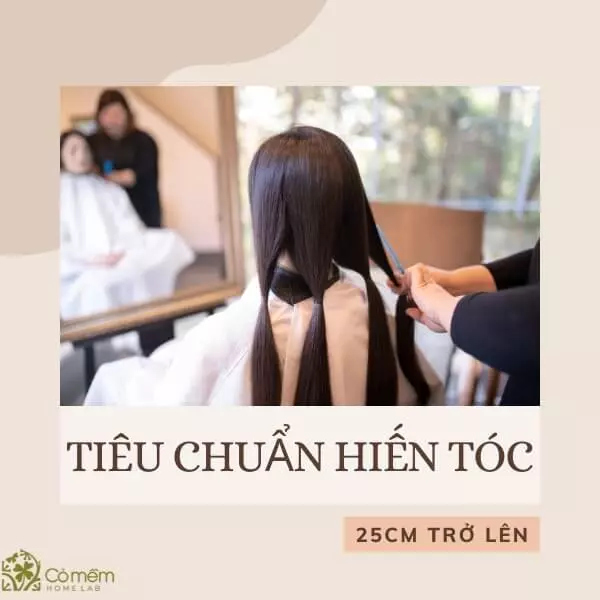 tiêu chuẩn hiến tóc