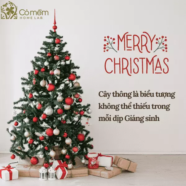 biểu tượng cây thông noel