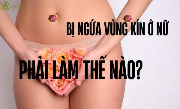 Bị Ngứa Vùng Kín Ở Nữ Phải Làm Sao? #7Bí Skip "Ít Ai Biết"