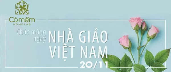 #35+ Lời Chúc 20/11 Ngắn Gọn Ý Nghĩa, Xúc Tích "Có 1-0-2"