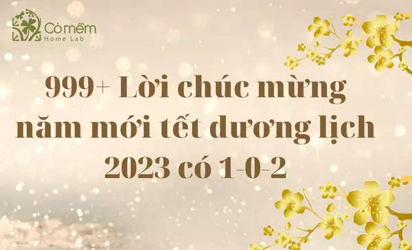 lời chúc mừng năm mới tết dương lịch