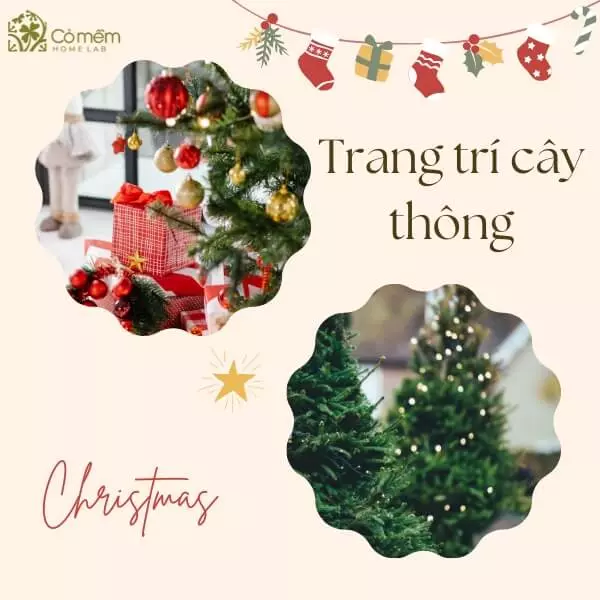 trang trí noel cửa hàng