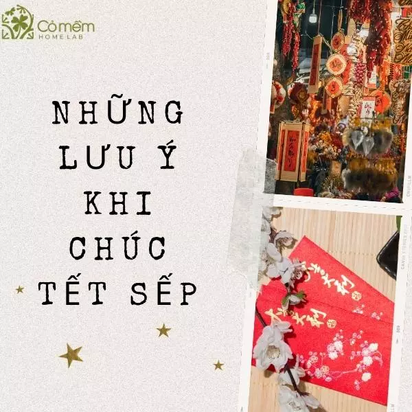 những câu chúc tết sếp hay và ý nghĩa