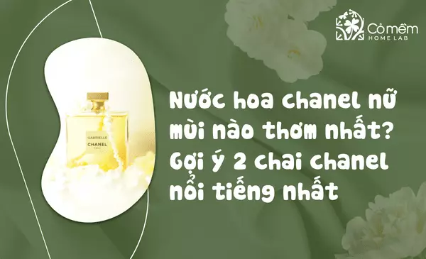 Nước Hoa Chanel Nữ Mùi Nào Thơm Nhất? Hé Lộ 2 Em Đỉnh Nhất