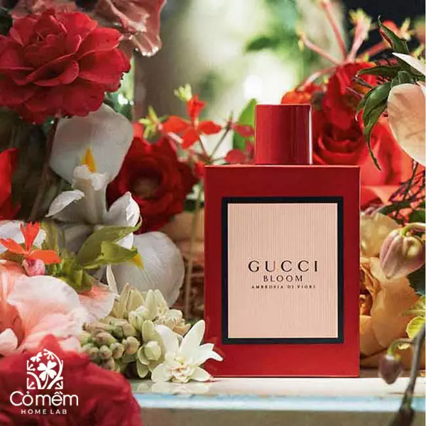 nước hoa Gucci Bloom Ambrosia Di Fiori