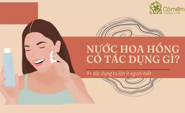 Nước Hoa Hồng Có Tác Dụng Gì? 9+ Tác Dụng "Đừng Xem Nhẹ"